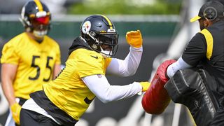 Former Steelers CB Bryant McFadden Thrilled With One LB He's Sticking His  Face In The Fan