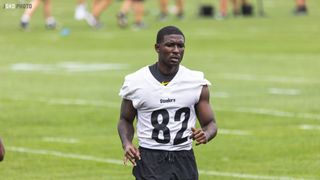 Houston Texans signing former Steelers WR Steven Sims to a one-year  contract - Behind the Steel Curtain