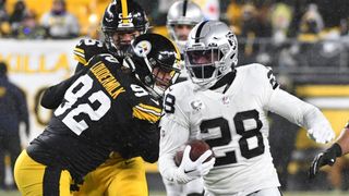 Ray Fittipaldo's Steelers report card: Defense overcomes injuries