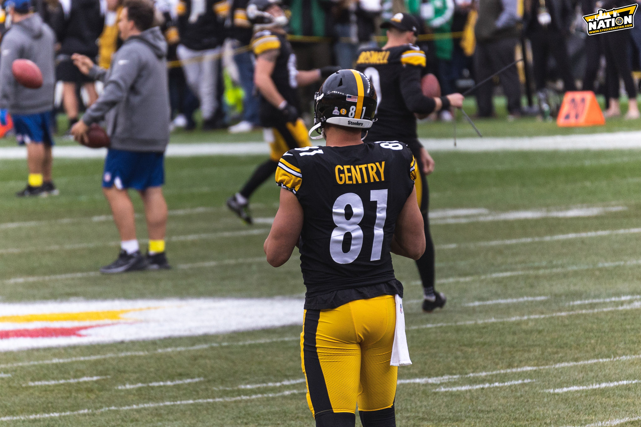 Pittsburgh Steelers tight end Zach Gentry (81) plays in an NFL