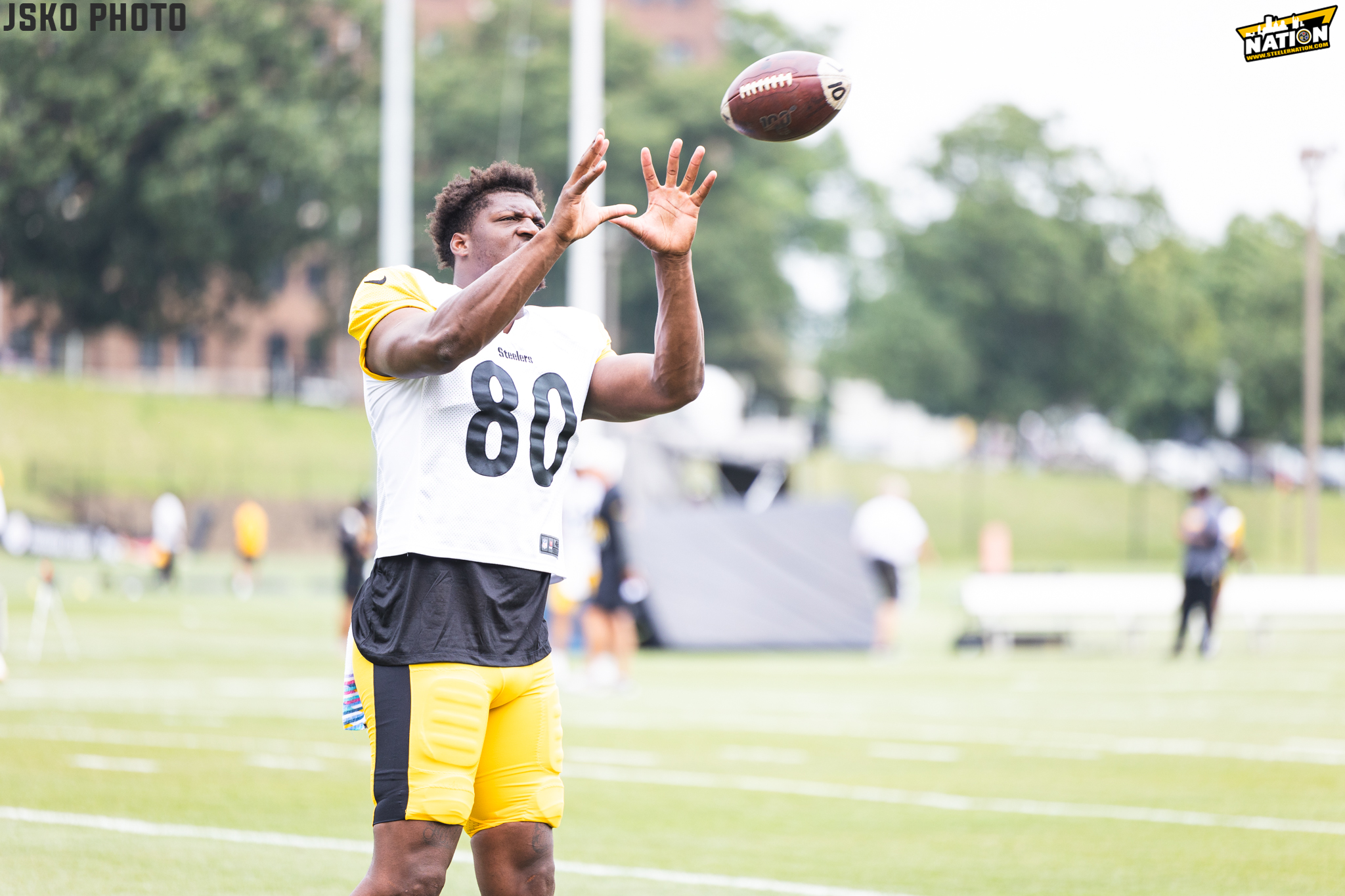 Steelers training camp: Darnell Washington making progress after