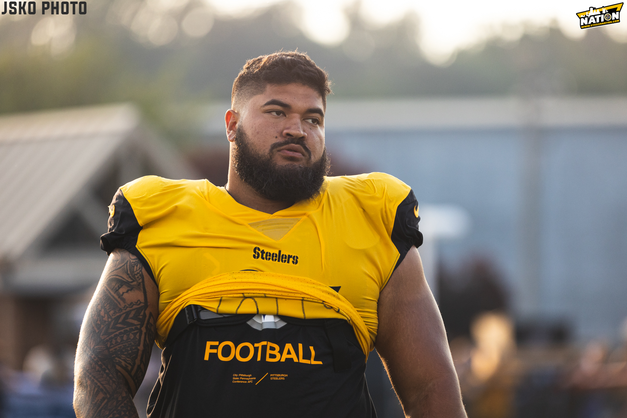 Report: Pittsburgh Steelers All-Pro defender Cam Heyward out multiple weeks