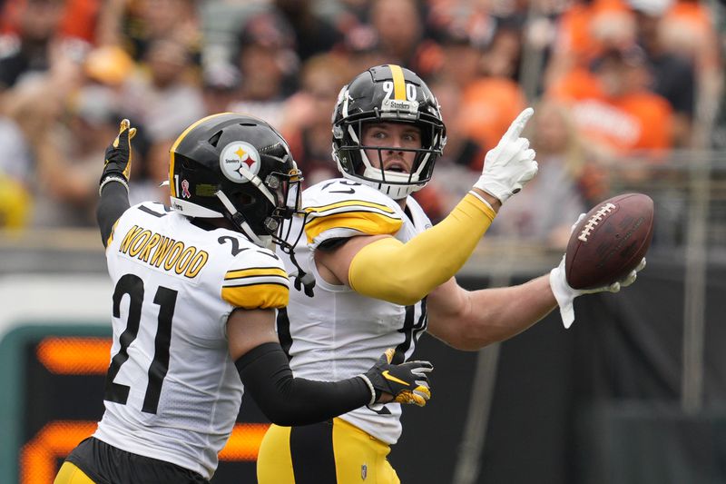 T.J. Watt looking to make 'more splash' on Steelers defense