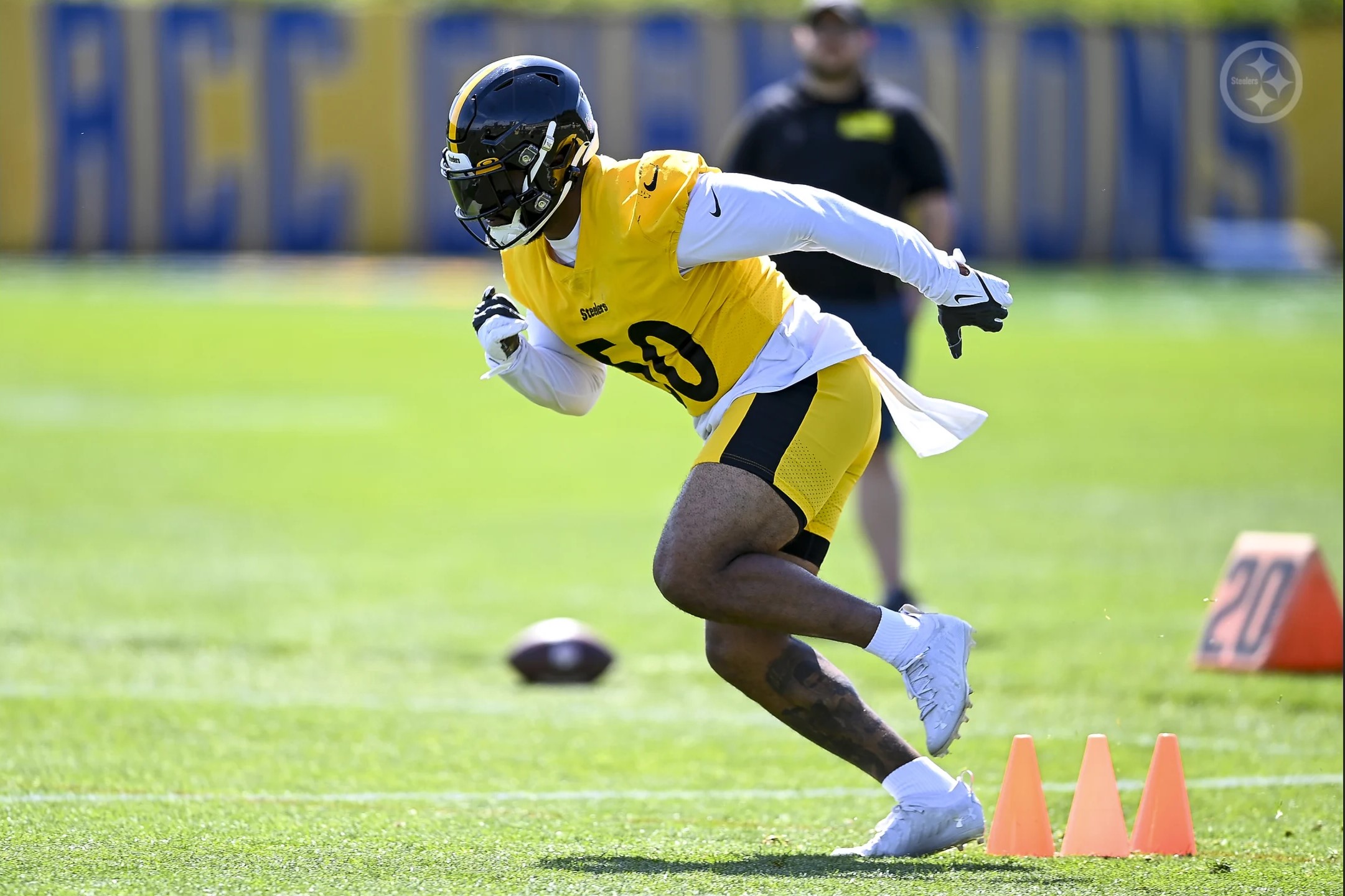 Steelers DC Teryl Austin has harsh truth for LB Devin Bush