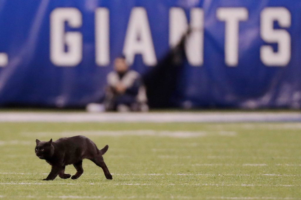 Steelers fans share crazy game-day superstitions