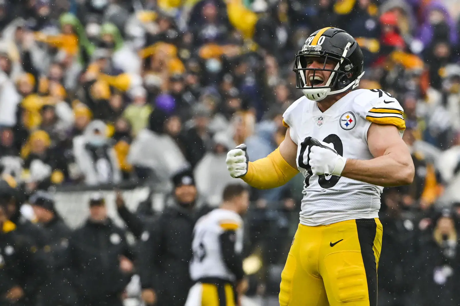 The 2022 Pittsburgh Steelers: Year in Review