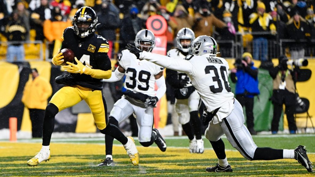 Photo: Steelers George Pickens Scores 24 Yard Touchdown - PIT2022112004 