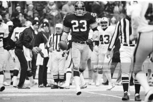 Steelers Mike Wagner