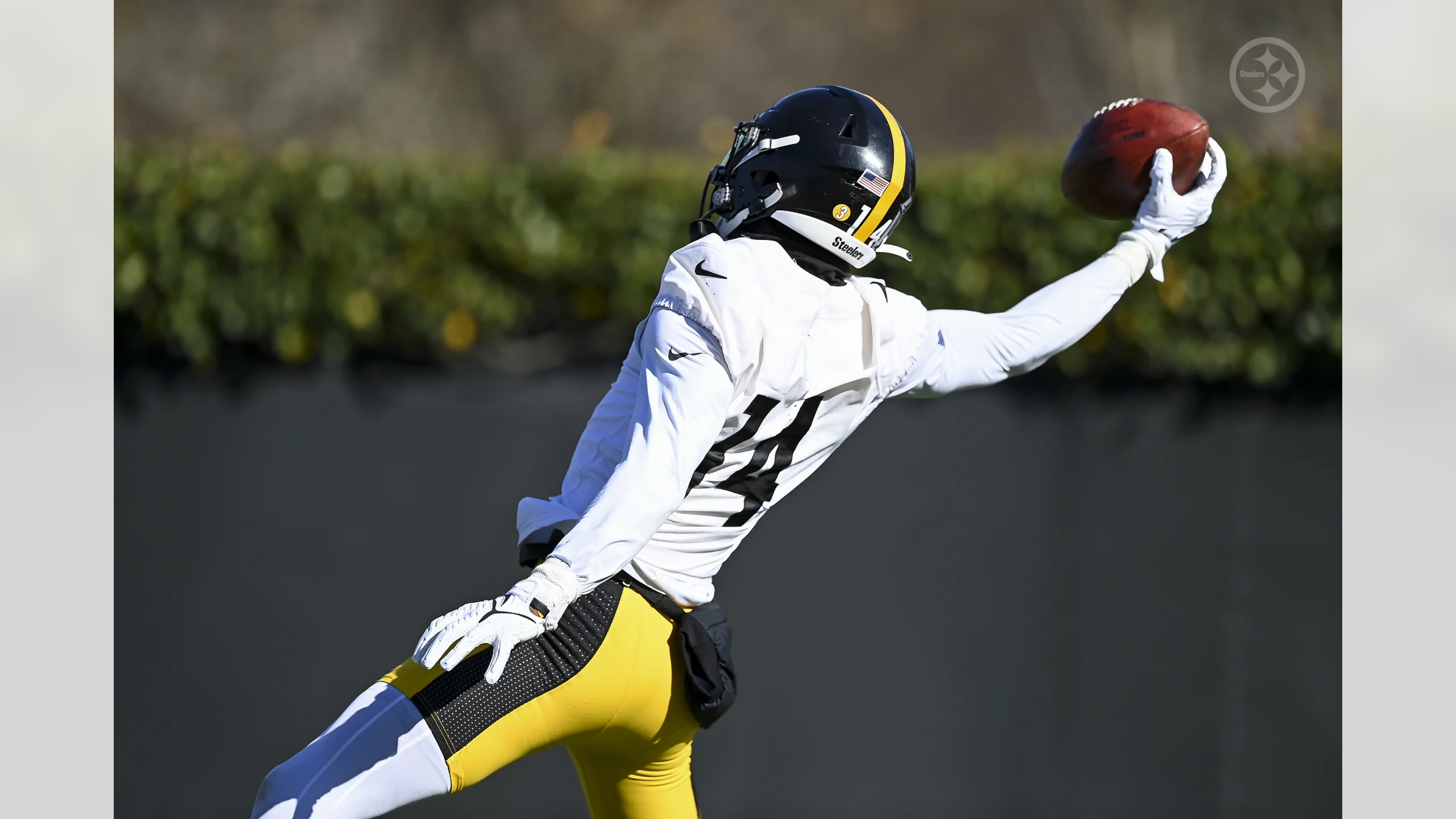 Former Steelers CB Bryant McFadden says George Pickens needs bigger role in  offense - On3