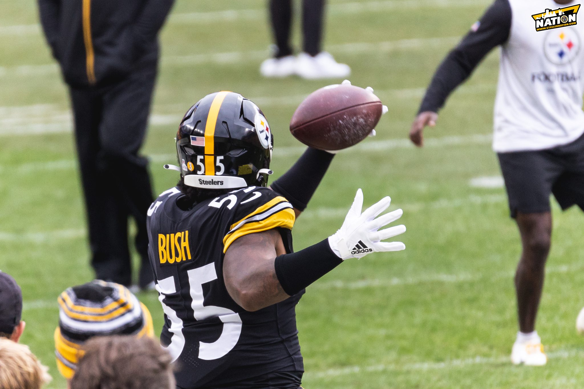 Steelers Once Promising LB Devin Bush Definitely has the Most to