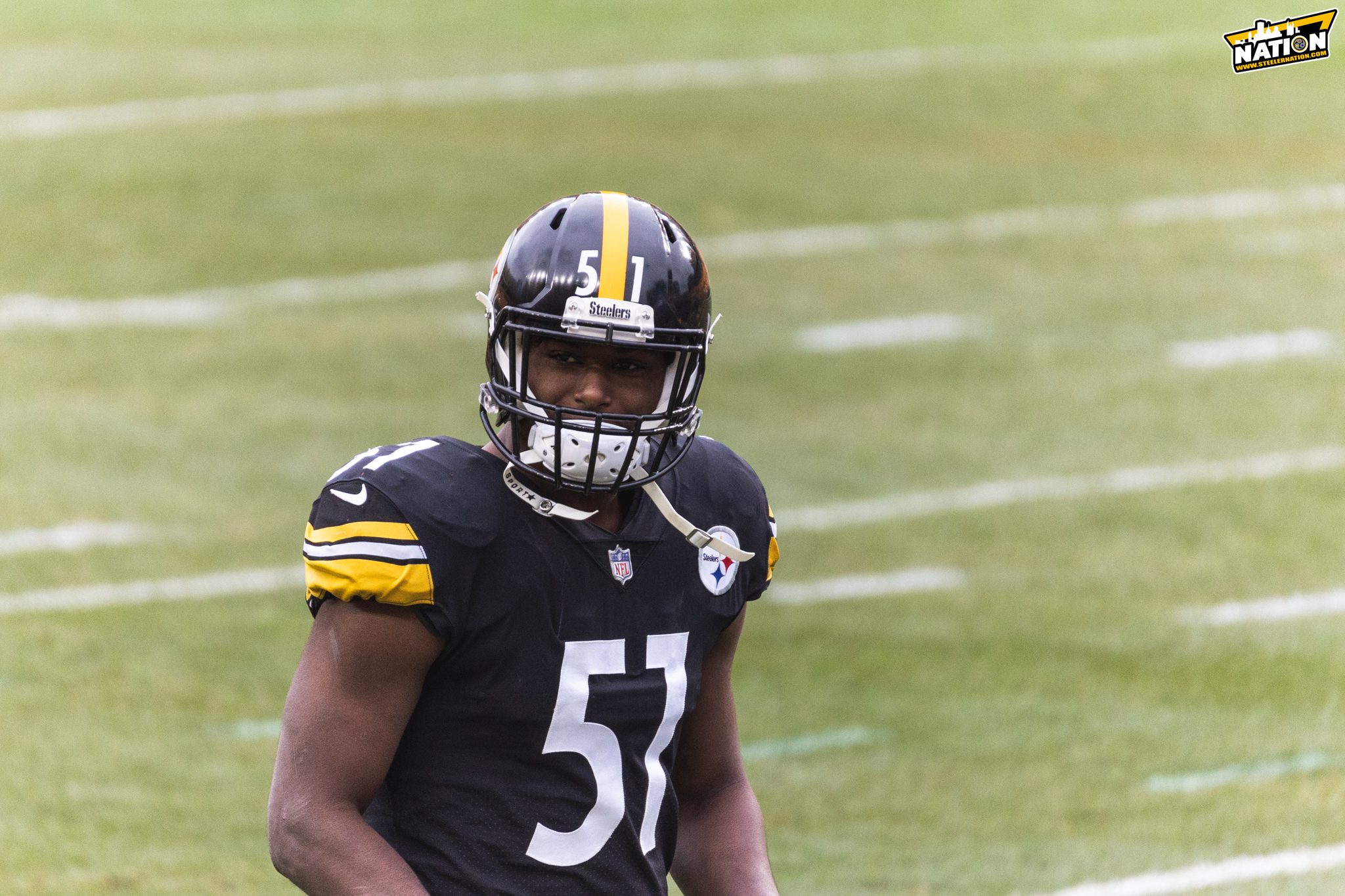 Steelers LB Devin Bush Gets More Playing Time In Week 12 Victory