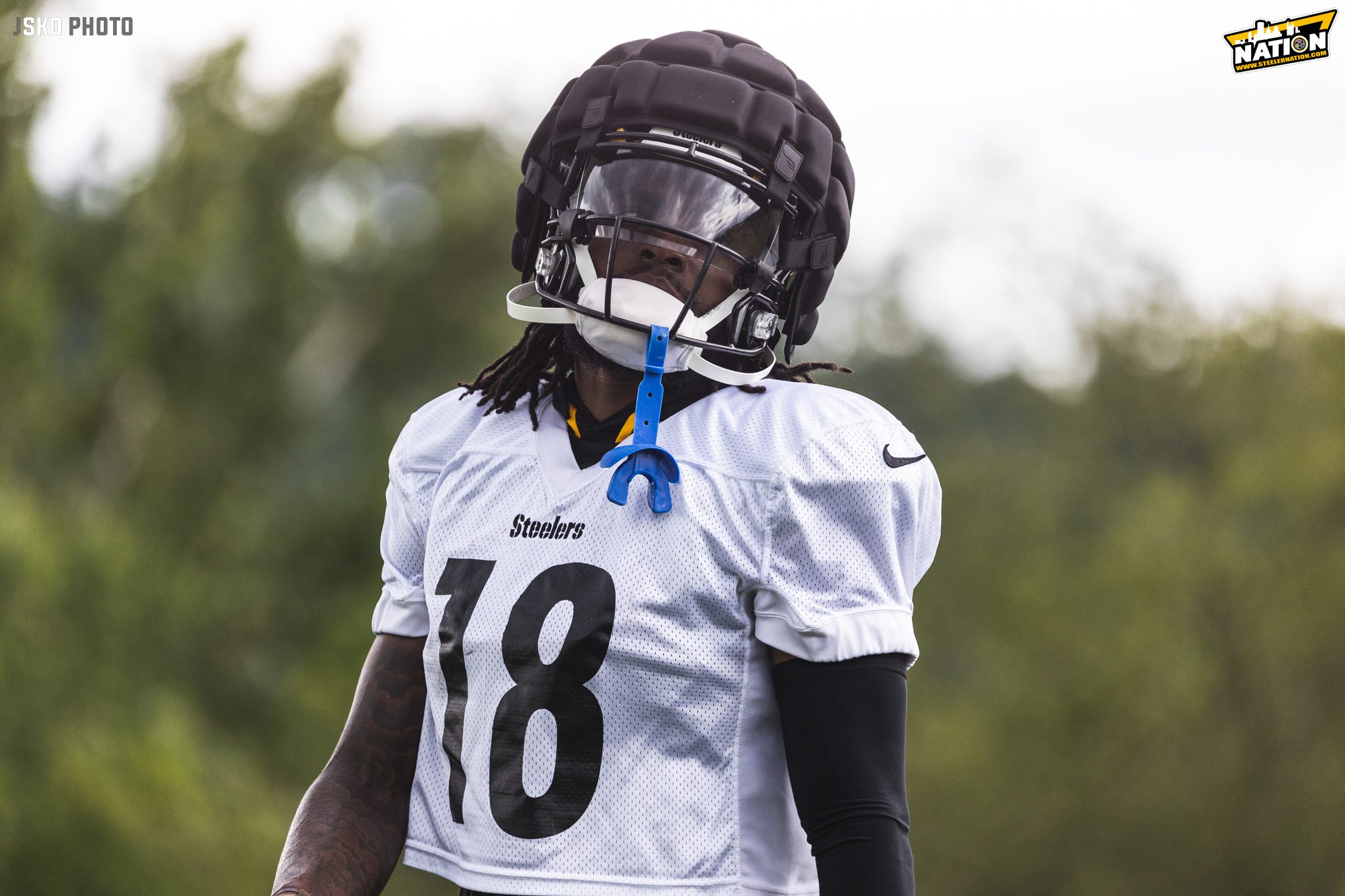 Steelers' Patrick Peterson And Bryant McFadden Astounded By Two Young  Defenders: They Look Like Some Vets Going Against Rookies