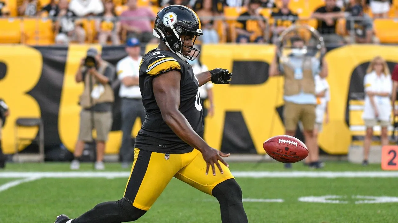 Terrible Fake Field Goal by Steelers Ends With Kicker Getting Hurt