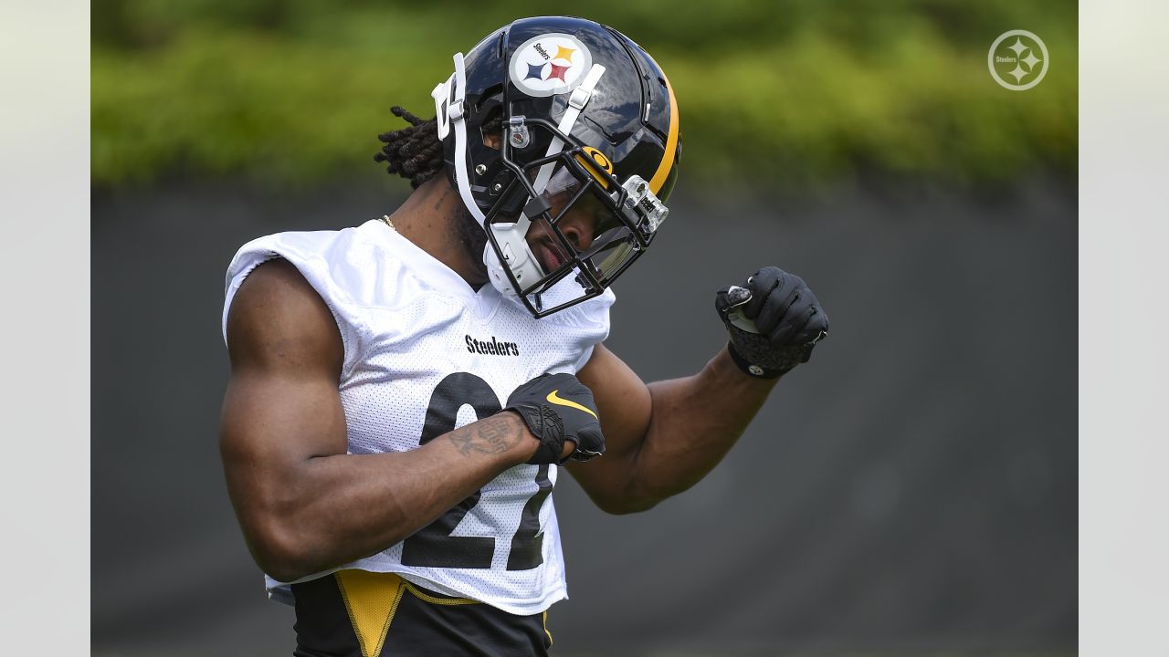 Steelers legend Jerome Bettis says Najee Harris can give Big Ben's career  'another year or another two years' 