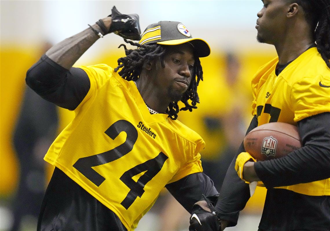 Steelers' Patrick Peterson And Bryant McFadden Astounded By Two Young  Defenders: They Look Like Some Vets Going Against Rookies