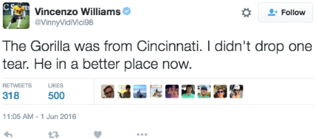 Former Steelers LB Vince Williams Answers Whether He Regrets An  Antagonistic Tweet Aimed At Vontaze Burfict After A Cowardly Hit