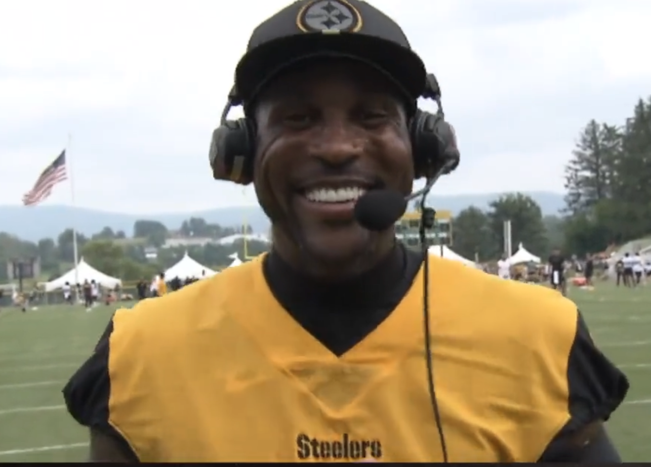 Former Steelers CB Bryant McFadden Thrilled With One LB He's Sticking His  Face In The Fan