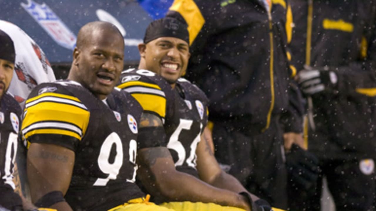 Harrison and Polamalu named All-Pro