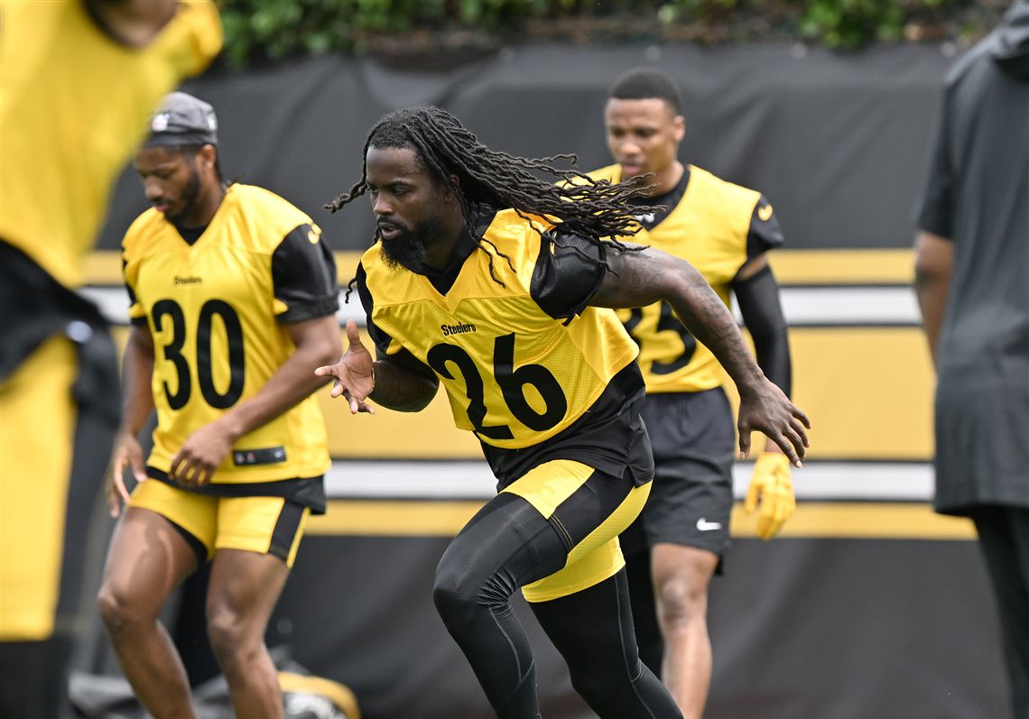 Former Steelers DB Bryant McFadden Assures Steeler Nation That ...