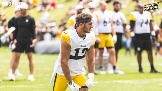 Steelers Scotty Miller