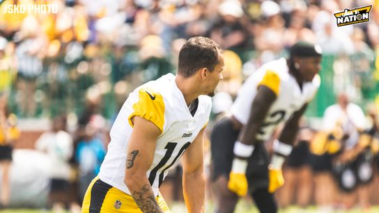 Steelers Roman Wilson Steelers Roman Wilson