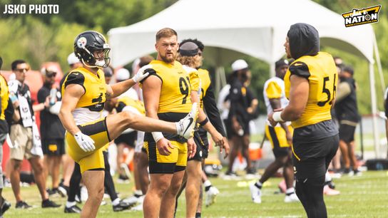 Steelers Logan Lee Alex Highsmith