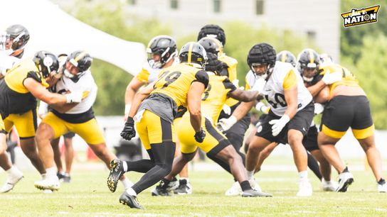 Steelers Sebastian Castro Steelers Sebastian Castro