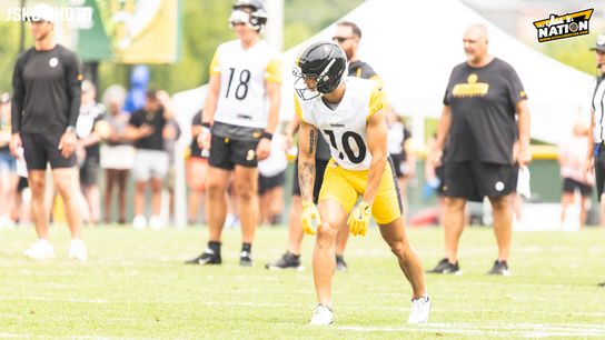 Steelers Roman Wilson