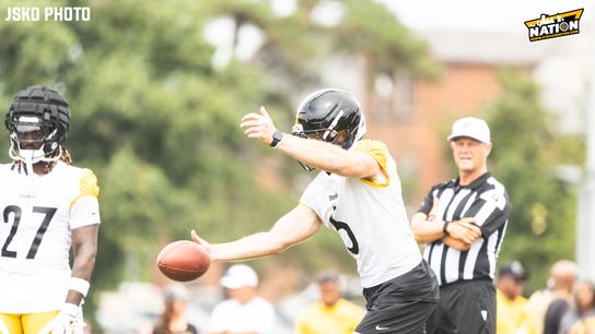 Steelers Cameron Johnston