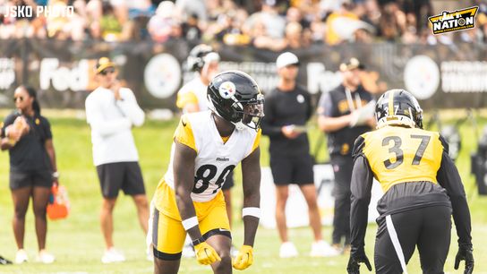 Steelers Roc Taylor Kyler McMichael