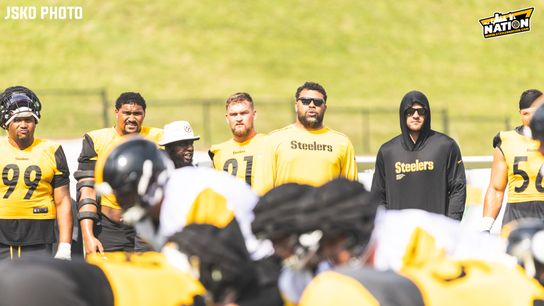 Steelers Cam Heyward TJ Watt