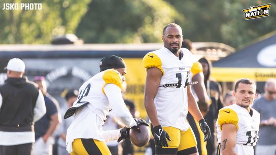 Steelers Robert Woods Calvin Austin III Roman Wilson
