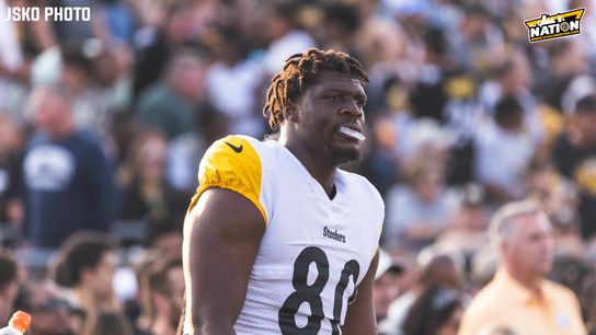 Steelers Darnell Washington Steelers Darnell Washington