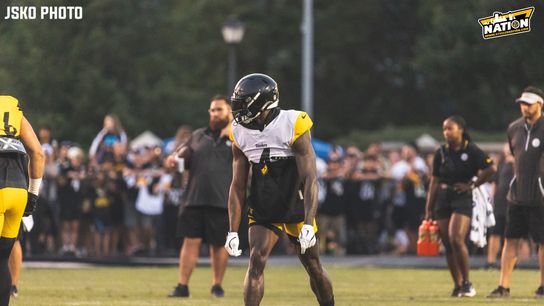 Steelers DK Metcalf