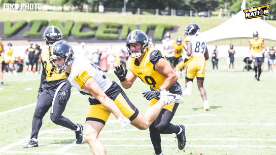 Steelers Sebastian Castro