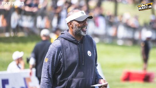 Steelers Teryl Austin