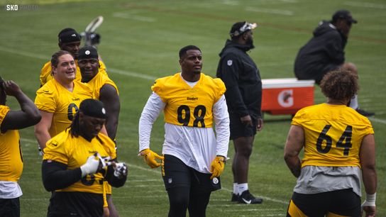 Steelers' DeMarvin Leal