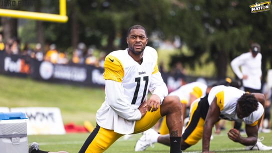 Steelers - Allen Robinson