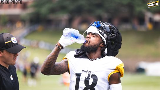 Steelers - Diontae Johnson