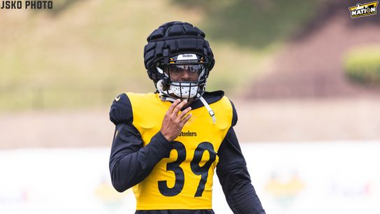 Steelers Minkah Fitzpatrick