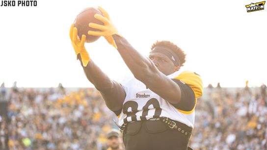 Steelers Darnel Washington