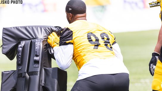 Steelers DeMarvin Leal