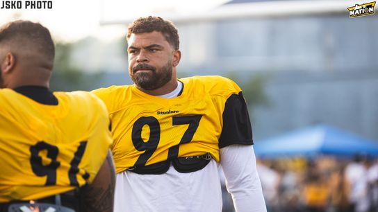 Steelers Cam Heyward