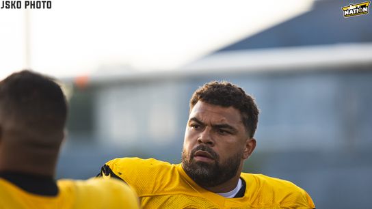 Steelers Cam Heyward