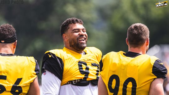 Steelers Cam Heyward