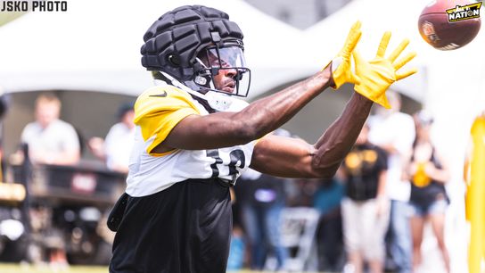 Steelers Miles Boykin