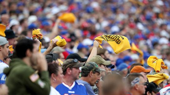 Steelers Bills Fans