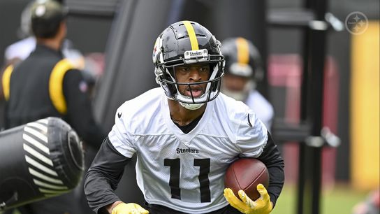 Steelers Allen Robinson