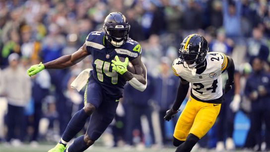 Steelers Fans Are Going To Hate Hearing This About DK Metcalf. Photo by AP Photo