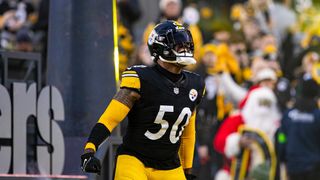 Steelers' Elandon Roberts Makes Revealing Comment About The NFL Team He Hopes To Retire With (Steelers News). Photo by AP